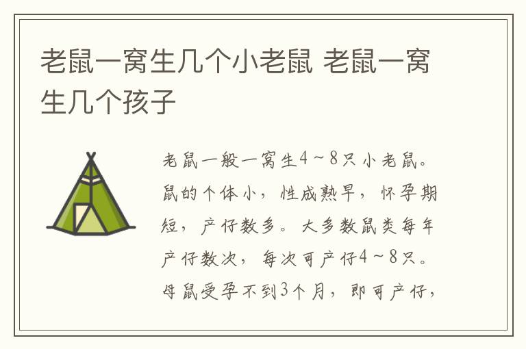 老鼠一窝生几个小老鼠 老鼠一窝生几个孩子