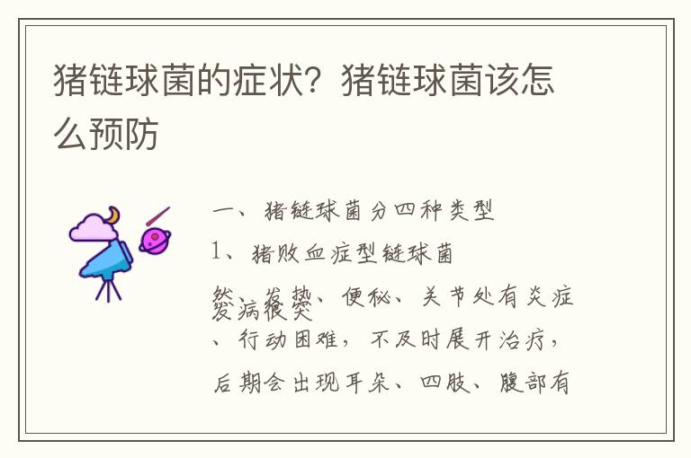 猪链球菌的症状？猪链球菌该怎么预防