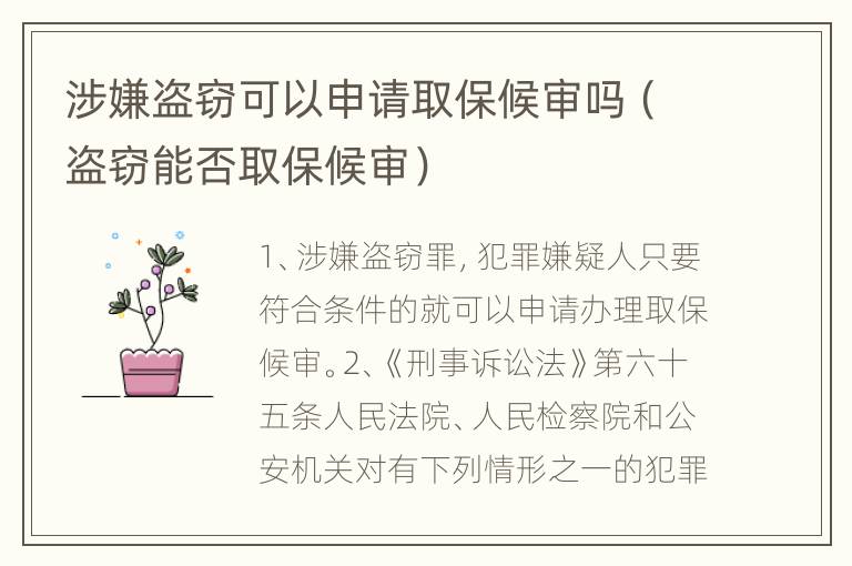 涉嫌盗窃可以申请取保候审吗（盗窃能否取保候审）
