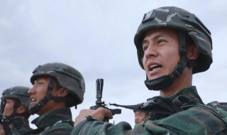 八百标兵中的标兵指什么兵 八百标兵中的标兵是什么兵
