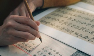 榧怎么读 榧怎么组词