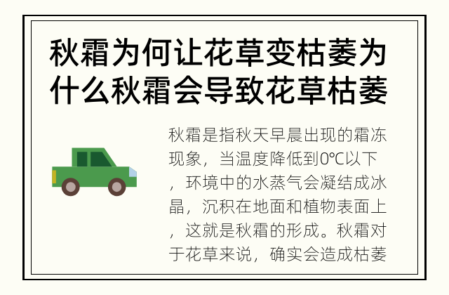 秋霜为何让花草变枯萎 为什么秋霜会导致花草枯萎？