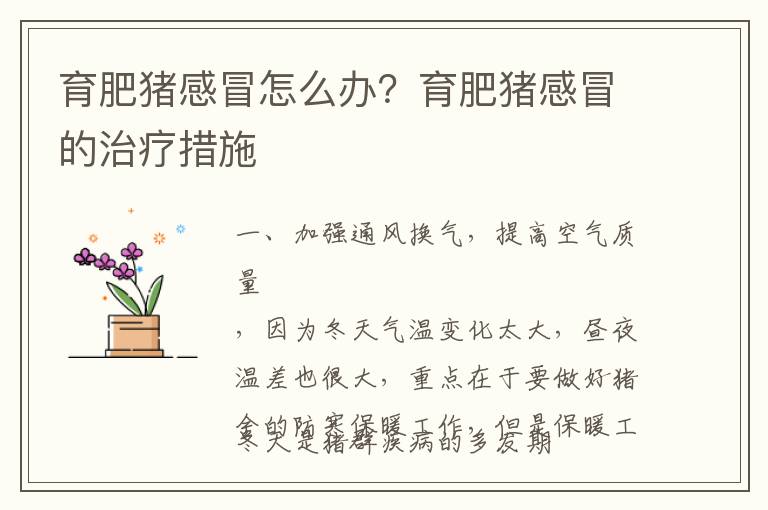 育肥猪感冒怎么办？育肥猪感冒的治疗措施