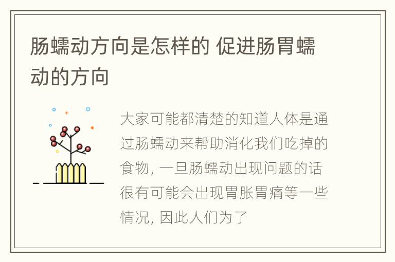 肠蠕动方向是怎样的 促进肠胃蠕动的方向
