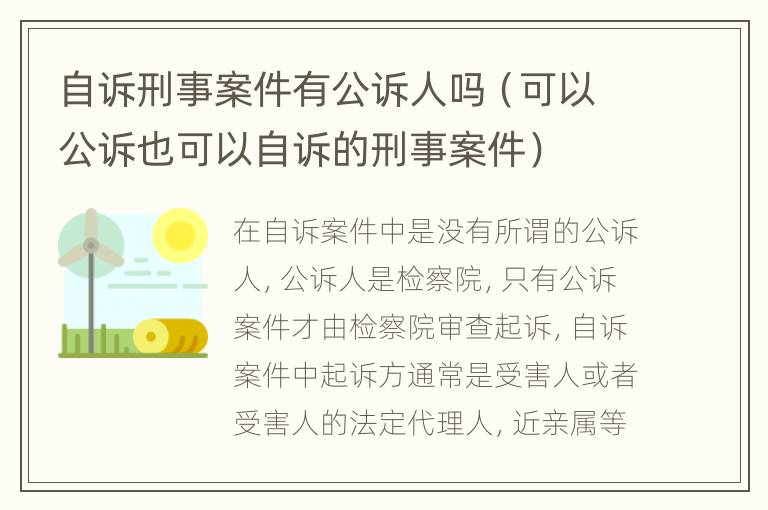 自诉刑事案件有公诉人吗（可以公诉也可以自诉的刑事案件）