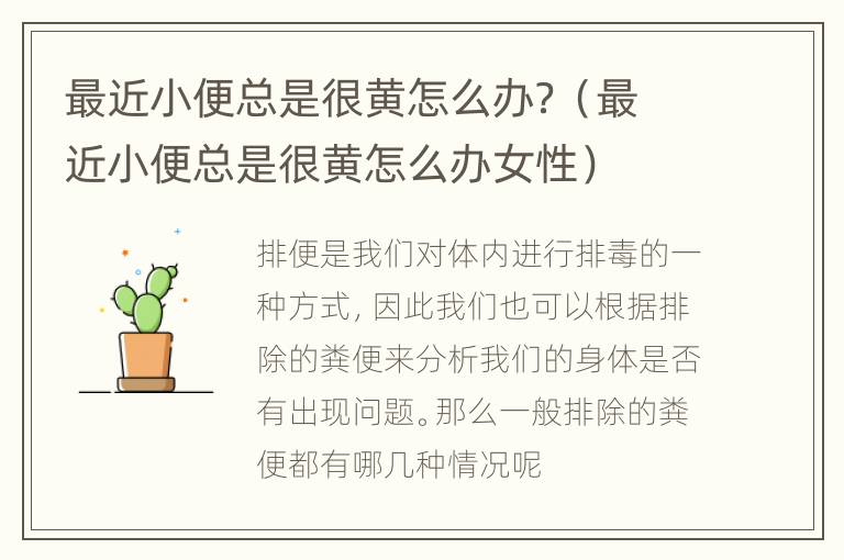 最近小便总是很黄怎么办？（最近小便总是很黄怎么办女性）