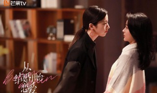从结婚开始恋爱剧情讲的什么 从结婚开始恋爱的主要内容
