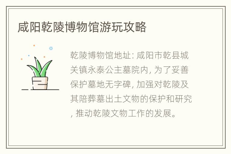 咸阳乾陵博物馆游玩攻略