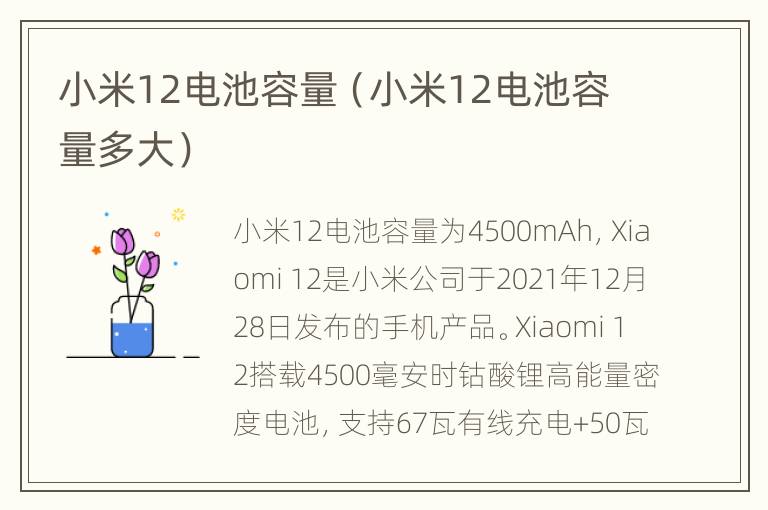 小米12电池容量（小米12电池容量多大）