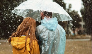 一场秋雨一场寒下一句是什么 一场秋雨一场寒是诗吗
