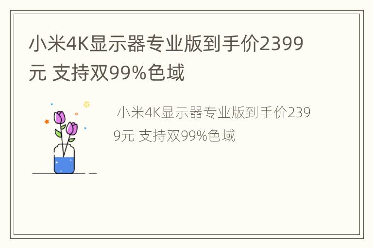 小米4K显示器专业版到手价2399元 支持双99%色域