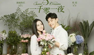 一千零一夜大结局是什么 一千零一夜简介