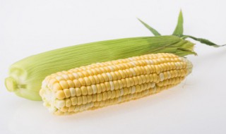 玉米糁粥的做法是什么 玉米糁粥教程