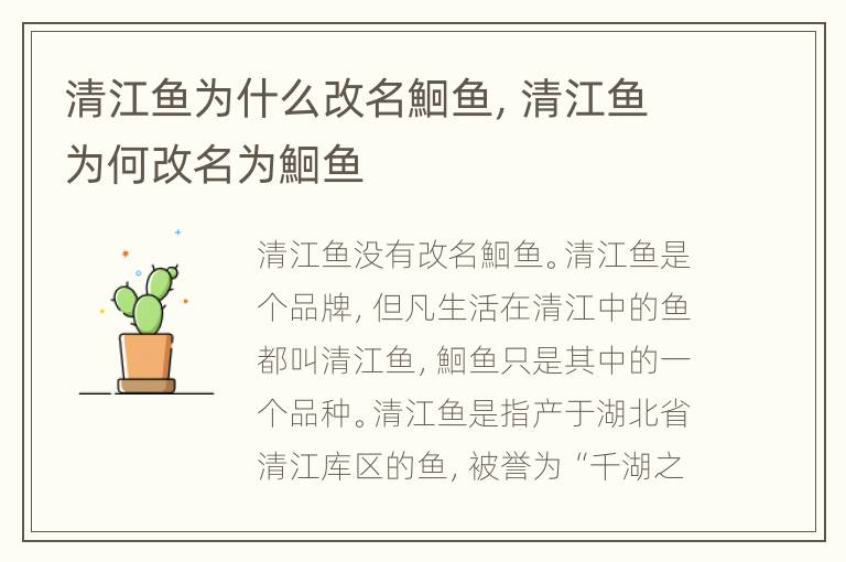 清江鱼为什么改名鮰鱼，清江鱼为何改名为鮰鱼