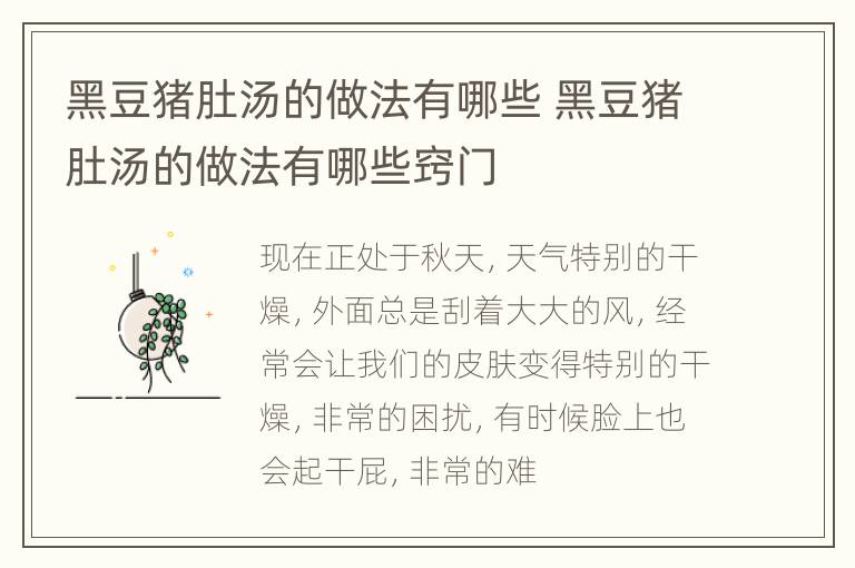 黑豆猪肚汤的做法有哪些 黑豆猪肚汤的做法有哪些窍门