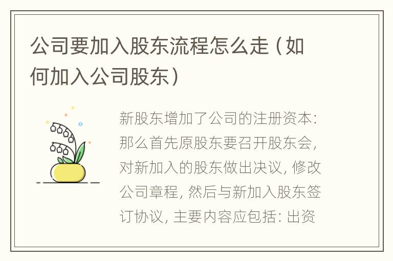 公司要加入股东流程怎么走（如何加入公司股东）