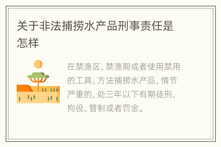 关于非法捕捞水产品刑事责任是怎样