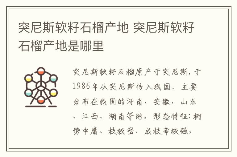突尼斯软籽石榴产地 突尼斯软籽石榴产地是哪里