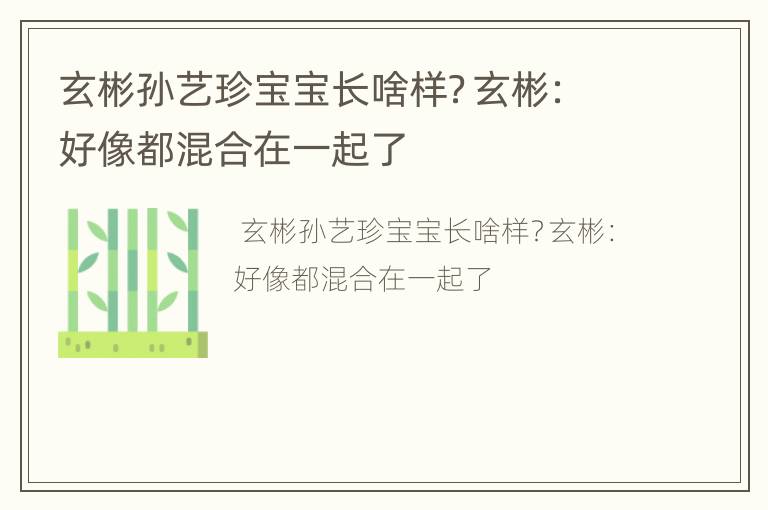 玄彬孙艺珍宝宝长啥样？玄彬：好像都混合在一起了