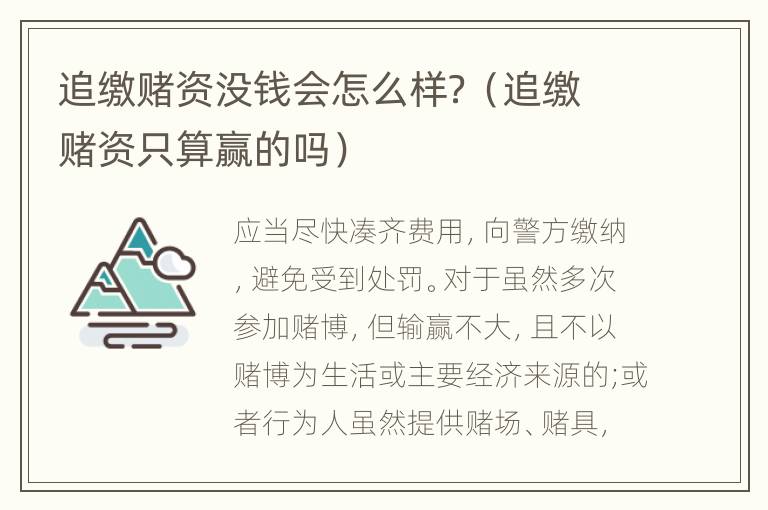 追缴赌资没钱会怎么样？（追缴赌资只算赢的吗）