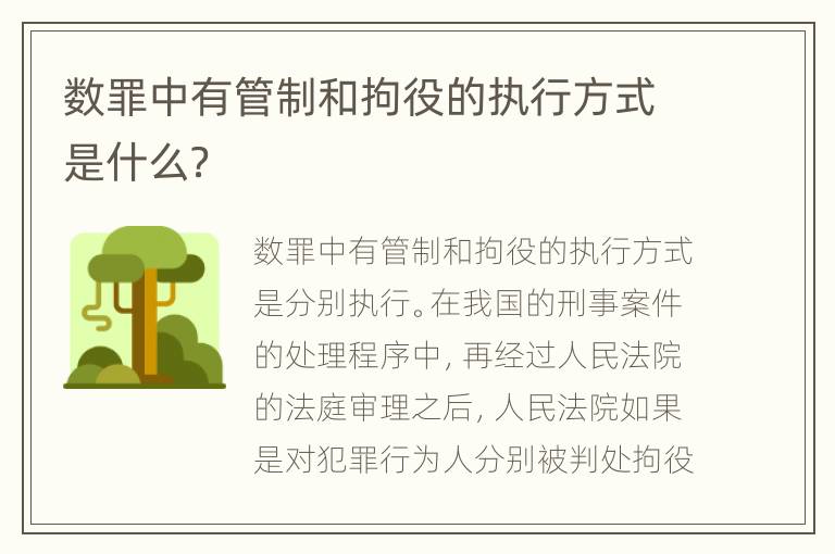 数罪中有管制和拘役的执行方式是什么？