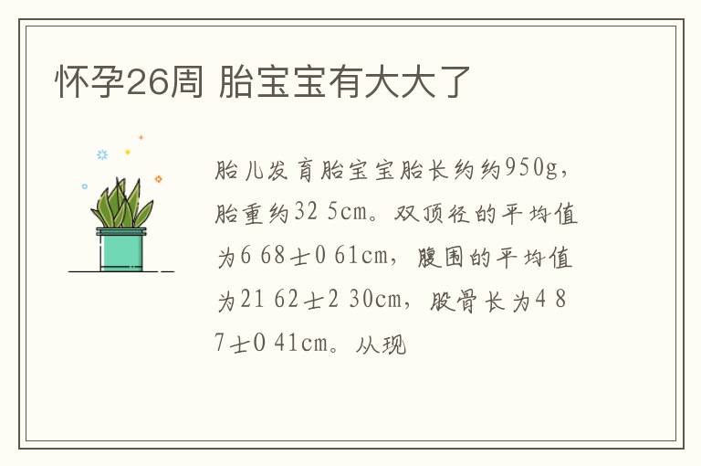怀孕26周 胎宝宝有大大了