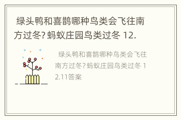  绿头鸭和喜鹊哪种鸟类会飞往南方过冬？蚂蚁庄园鸟类过冬 12.11答案