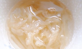 鲜海蛰汤做法步骤 鲜海蛰汤需要哪些材料