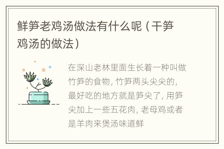 鲜笋老鸡汤做法有什么呢（干笋鸡汤的做法）