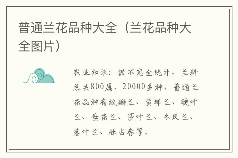 普通兰花品种大全（兰花品种大全图片）