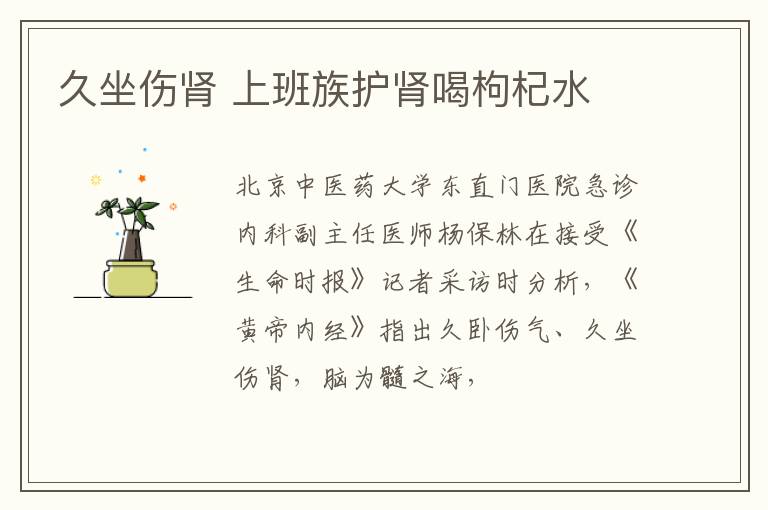 久坐伤肾 上班族护肾喝枸杞水