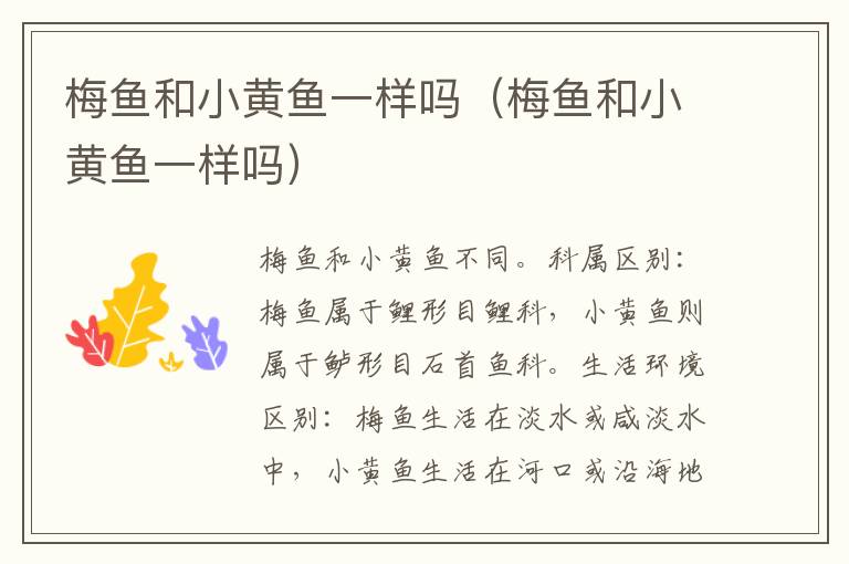 梅鱼和小黄鱼一样吗（梅鱼和小黄鱼一样吗）