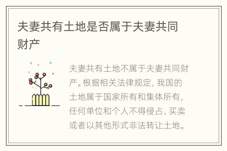夫妻共有土地是否属于夫妻共同财产