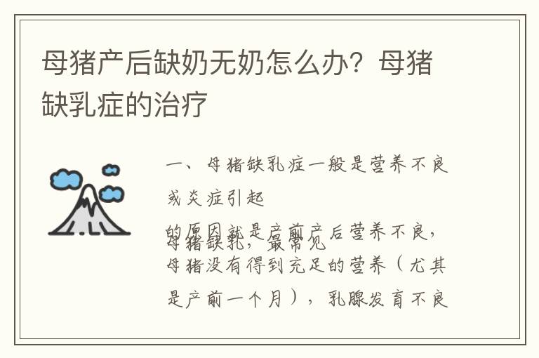 母猪产后缺奶无奶怎么办？母猪缺乳症的治疗
