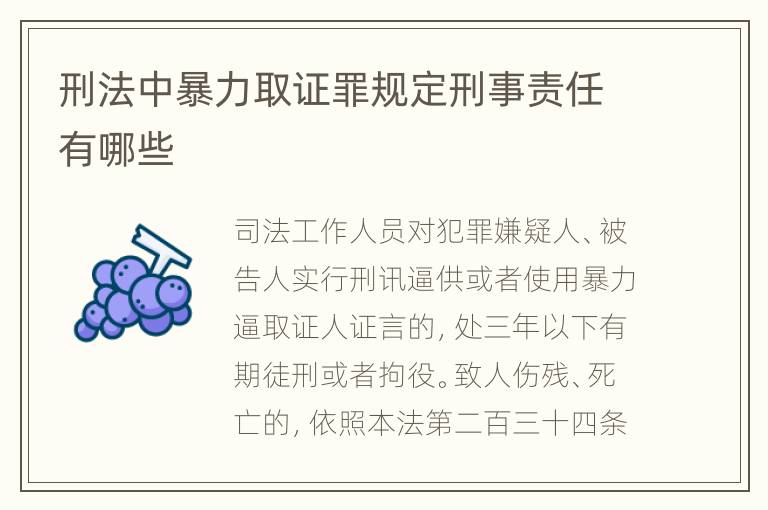 刑法中暴力取证罪规定刑事责任有哪些