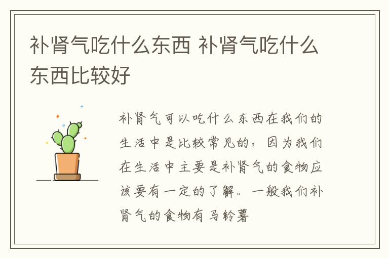 补肾气吃什么东西 补肾气吃什么东西比较好