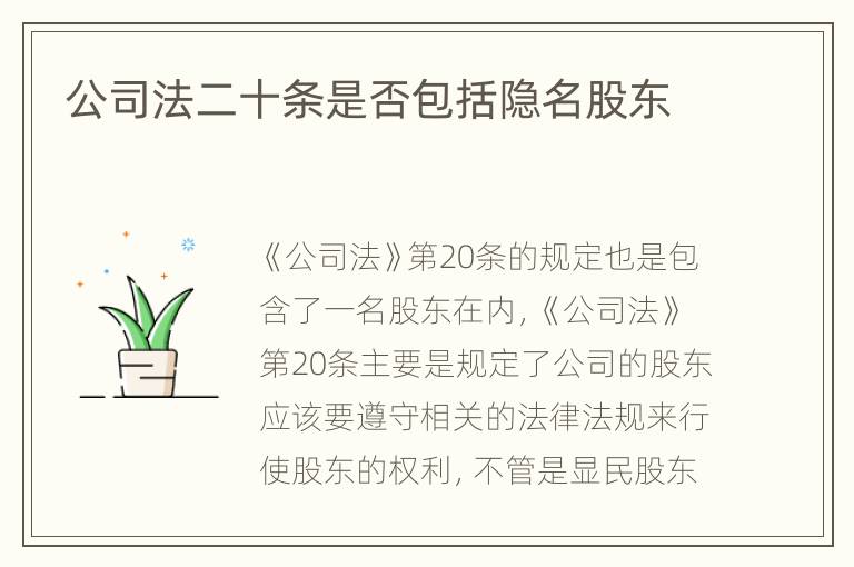 公司法二十条是否包括隐名股东