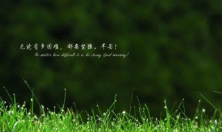 分享快乐的句子经典 分享经典的快乐句子推荐