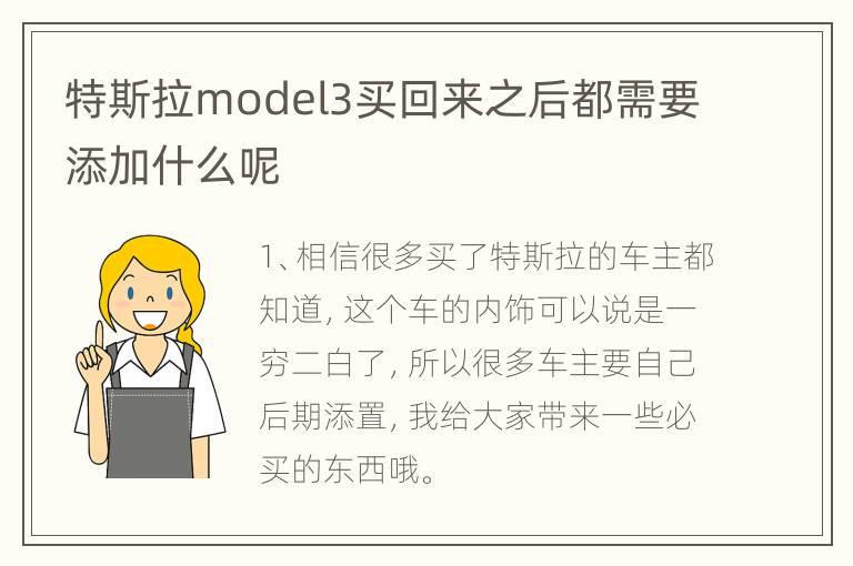 特斯拉model3买回来之后都需要添加什么呢