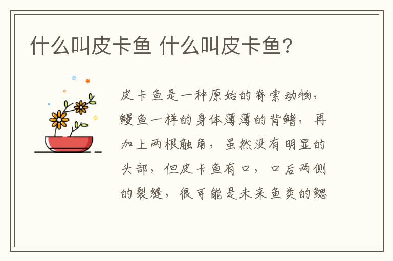 什么叫皮卡鱼 什么叫皮卡鱼?