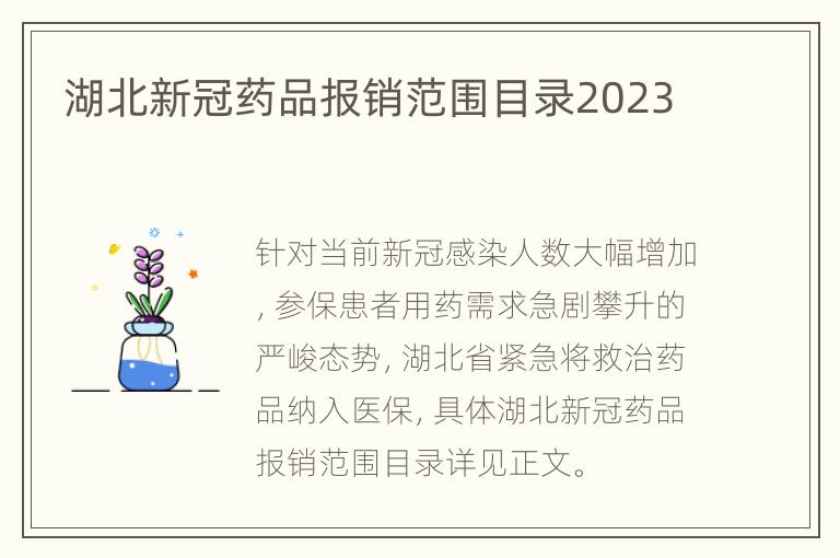 湖北新冠药品报销范围目录2023