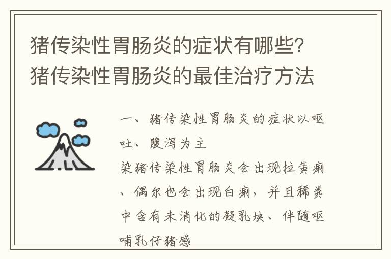 猪传染性胃肠炎的症状有哪些？猪传染性胃肠炎的最佳治疗方法