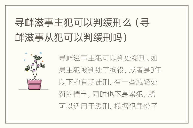 寻衅滋事主犯可以判缓刑么（寻衅滋事从犯可以判缓刑吗）