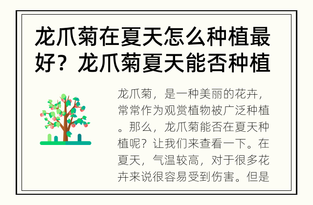龙爪菊在夏天怎么种植最好？ 龙爪菊夏天能否种植？