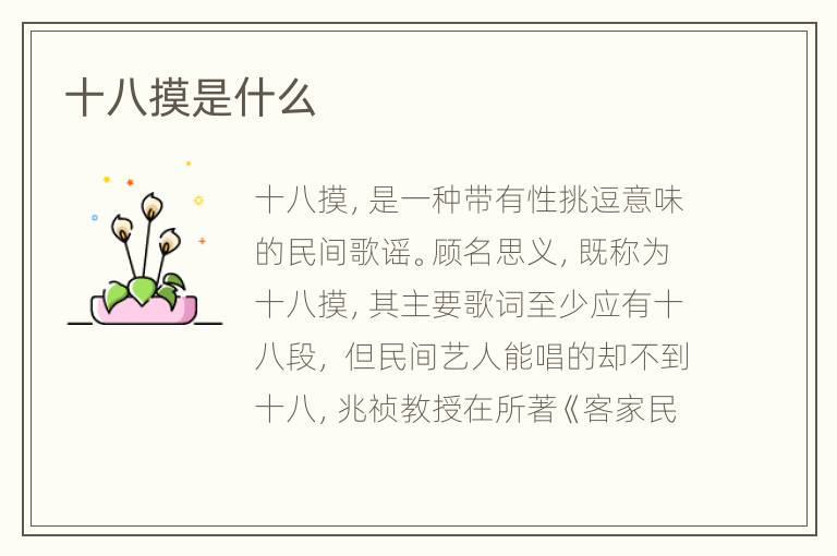 十八摸是什么