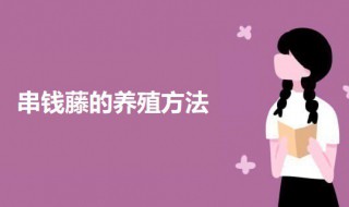 串钱藤的养殖方法 串钱藤怎么养殖