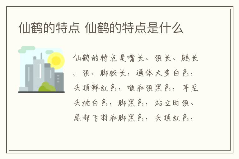 仙鹤的特点 仙鹤的特点是什么