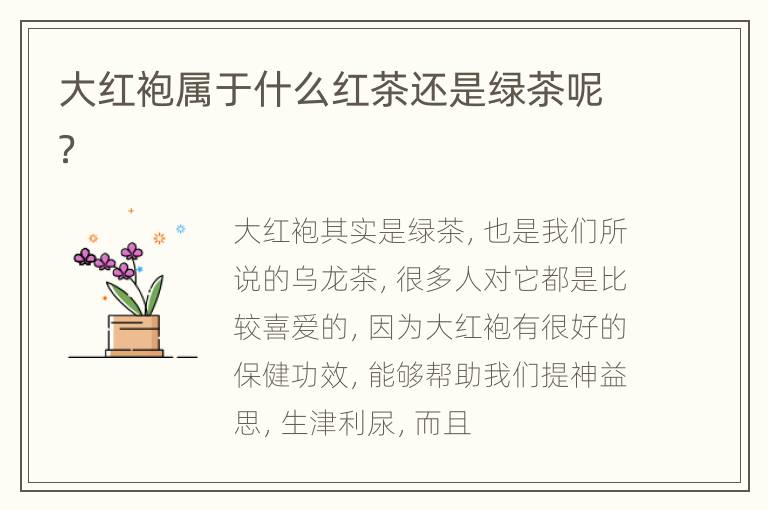 大红袍属于什么红茶还是绿茶呢？