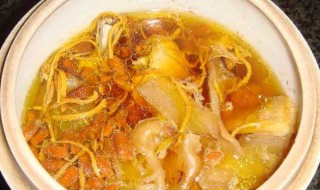 虫草花怎么吃正确食用方法 虫草花的烹饪方法