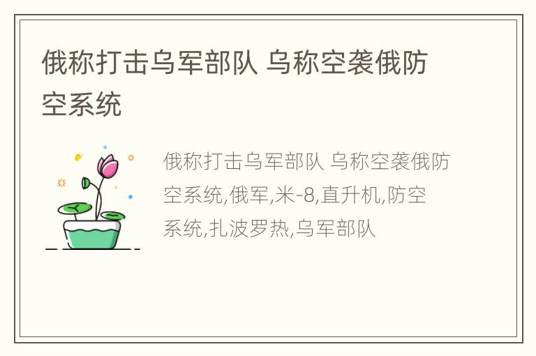 俄称打击乌军部队 乌称空袭俄防空系统